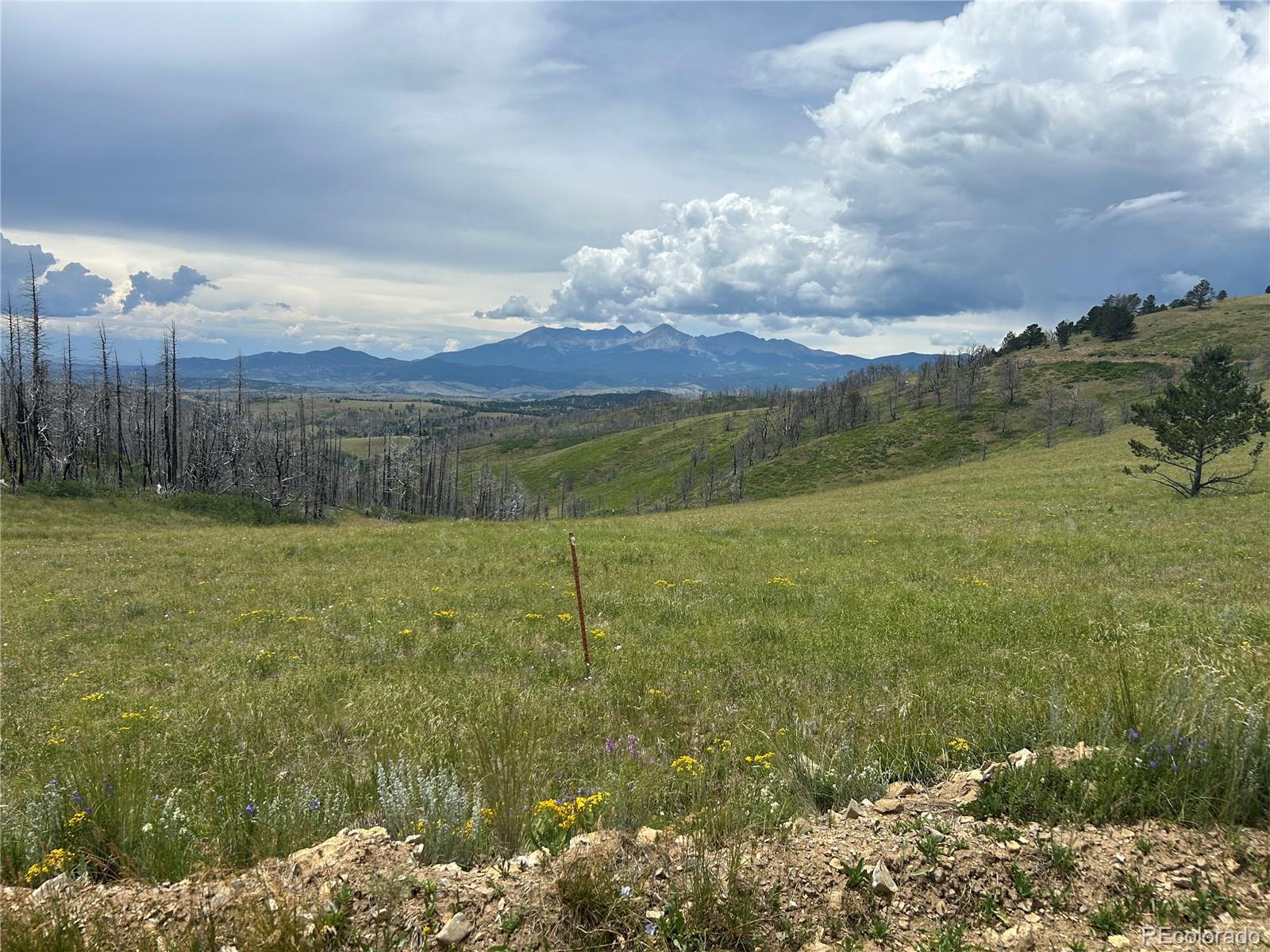 Lot 463 Forbes Wagon Creek Ranch Fort Garland CO 81133