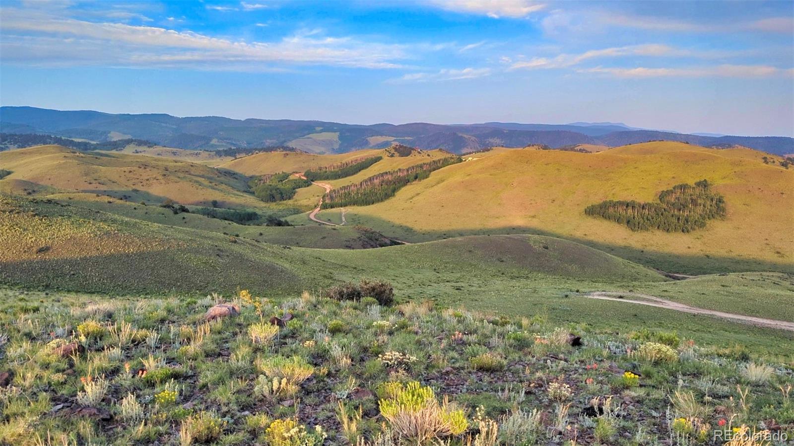 1931 Commanche Trail Westcliffe CO 81252