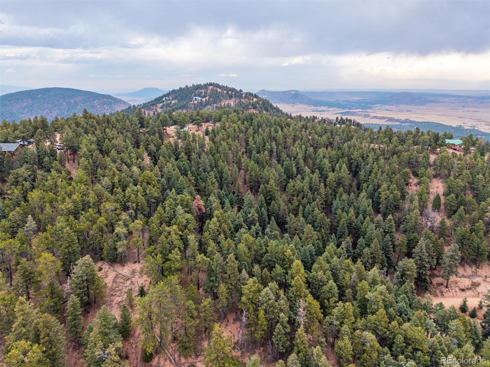 2288 Badger Drive Larkspur CO 80118
