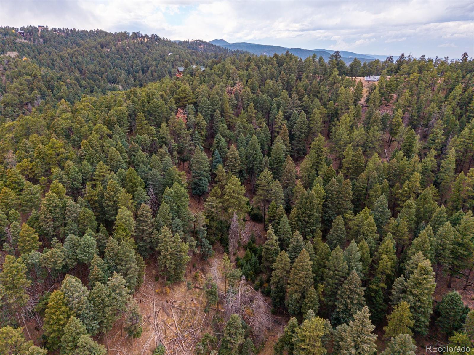 2288 Badger Drive Larkspur CO 80118