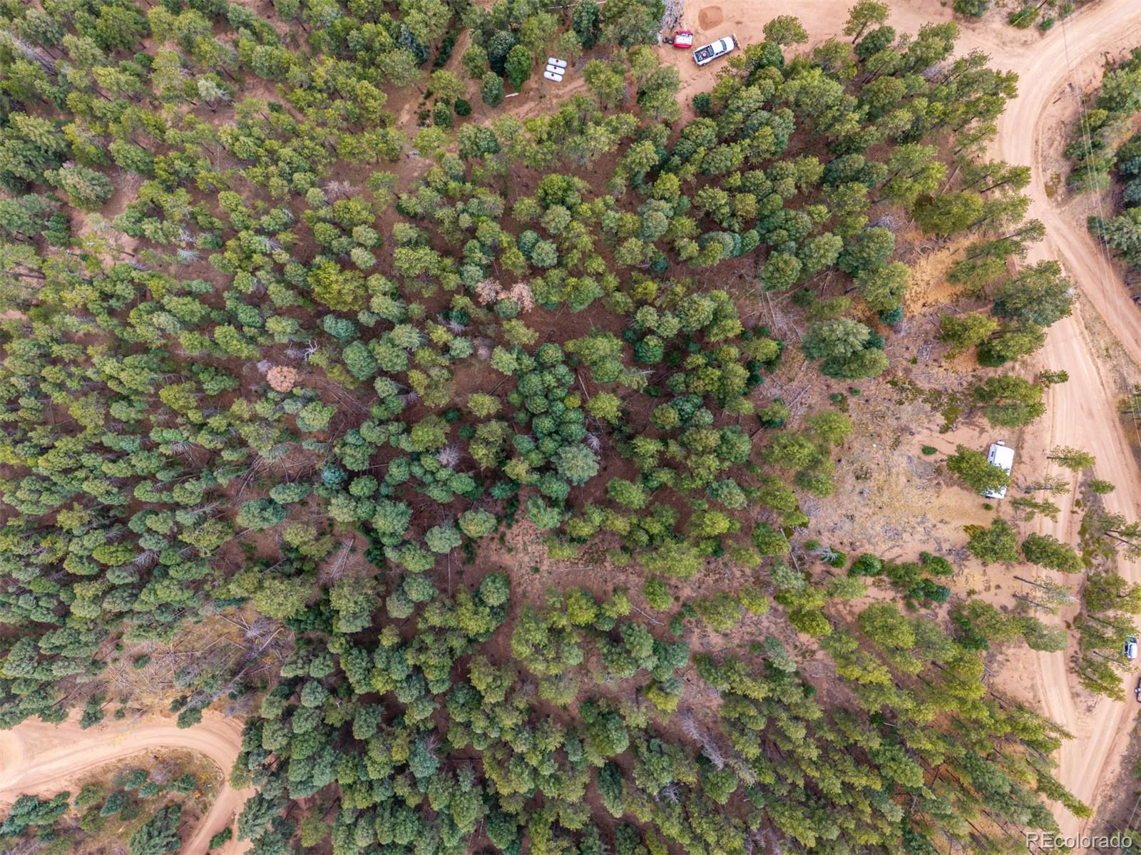 2288 Badger Drive Larkspur CO 80118