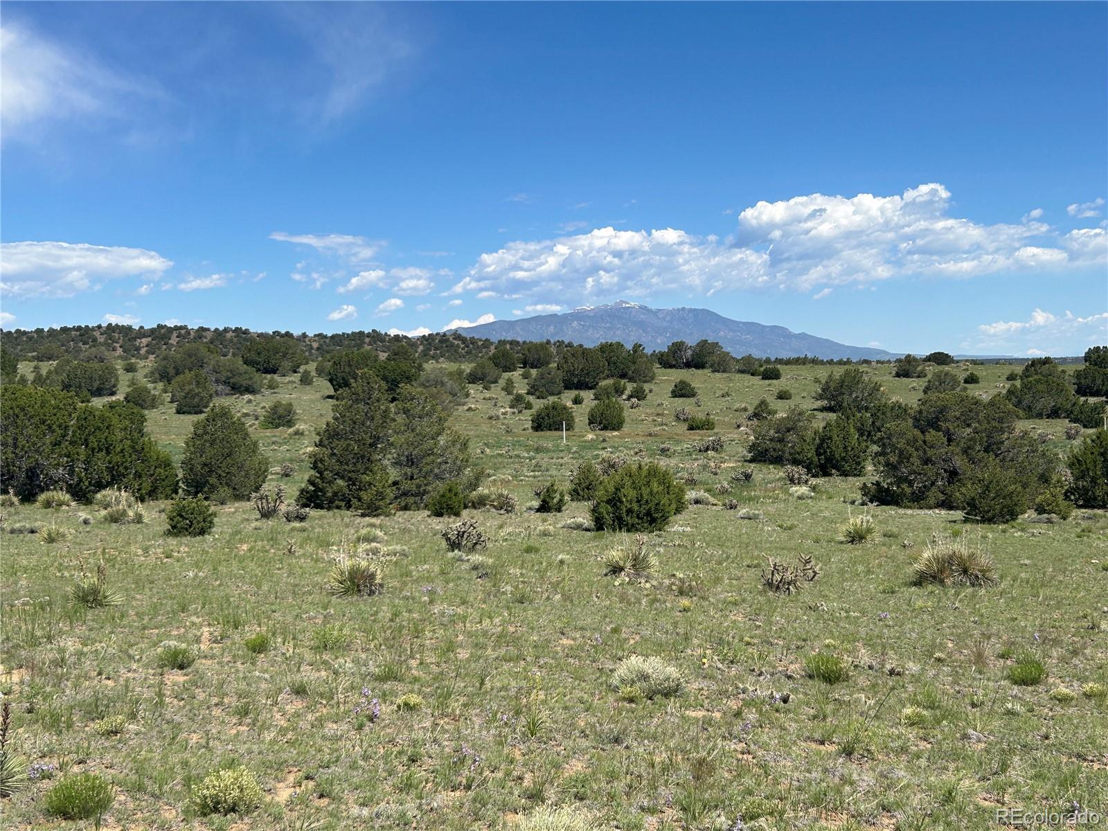 Lot #19 Rio Cucharas Phs 1 Walsenburg CO 81089