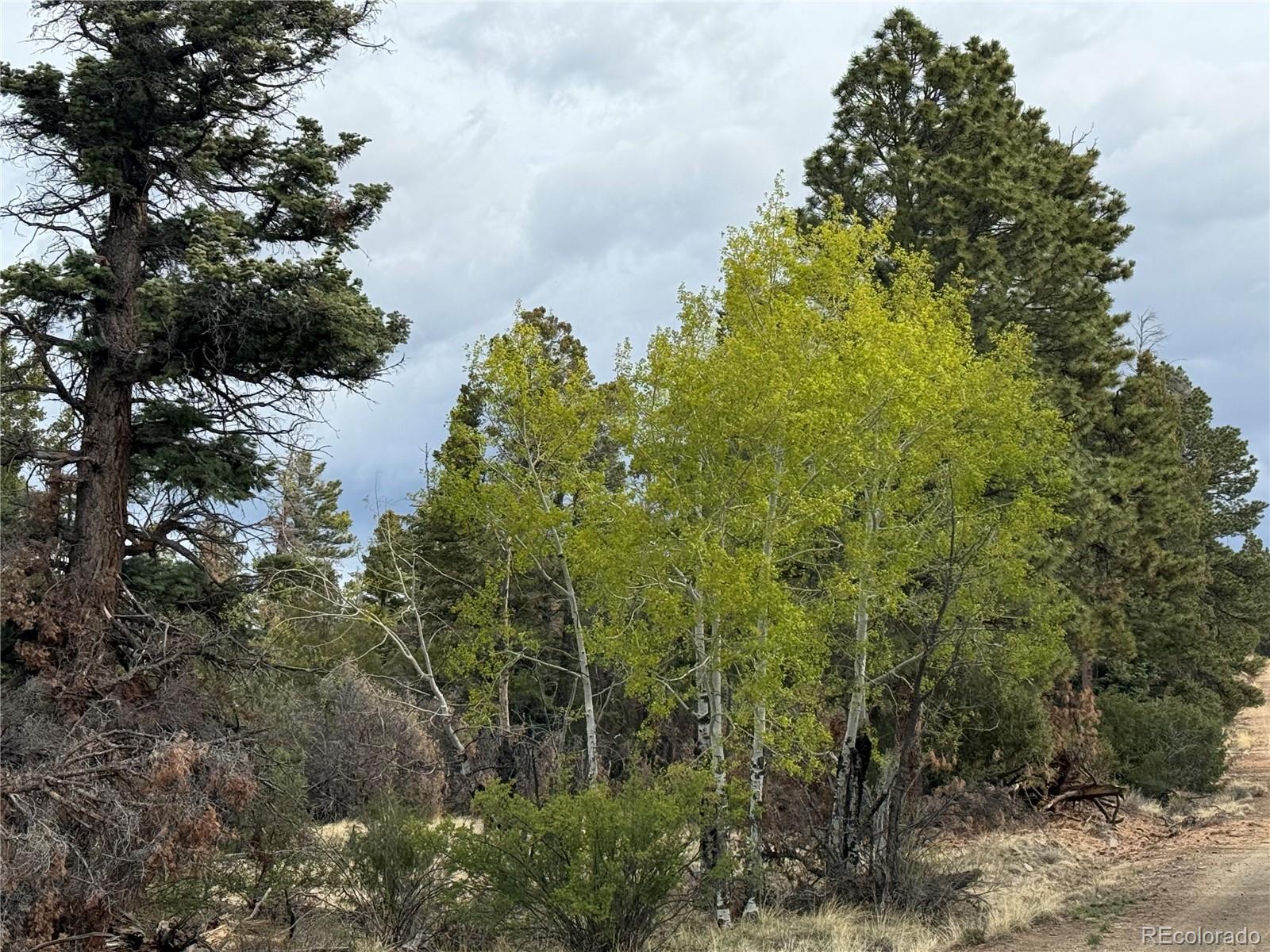 Lot 154 Tahmoush Lane Fort Garland CO 81133