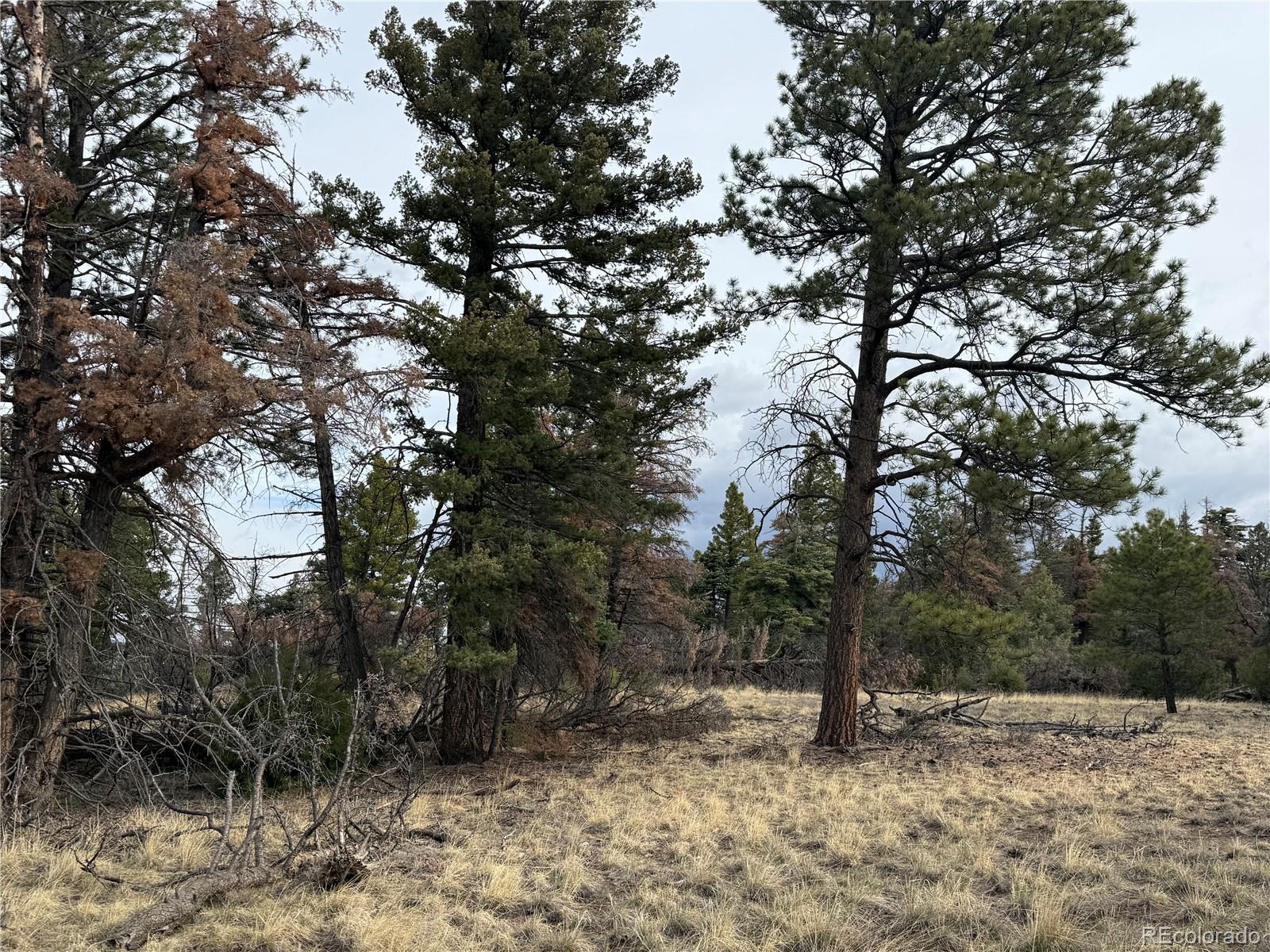 Lot 154 Tahmoush Lane Fort Garland CO 81133