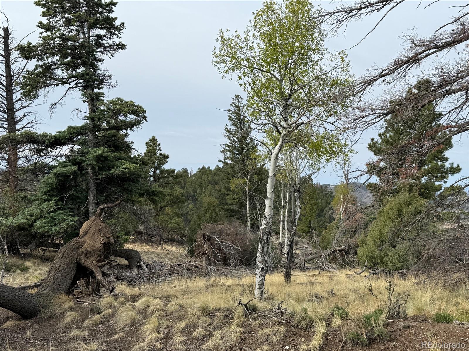 Lot 154 Tahmoush Lane Fort Garland CO 81133