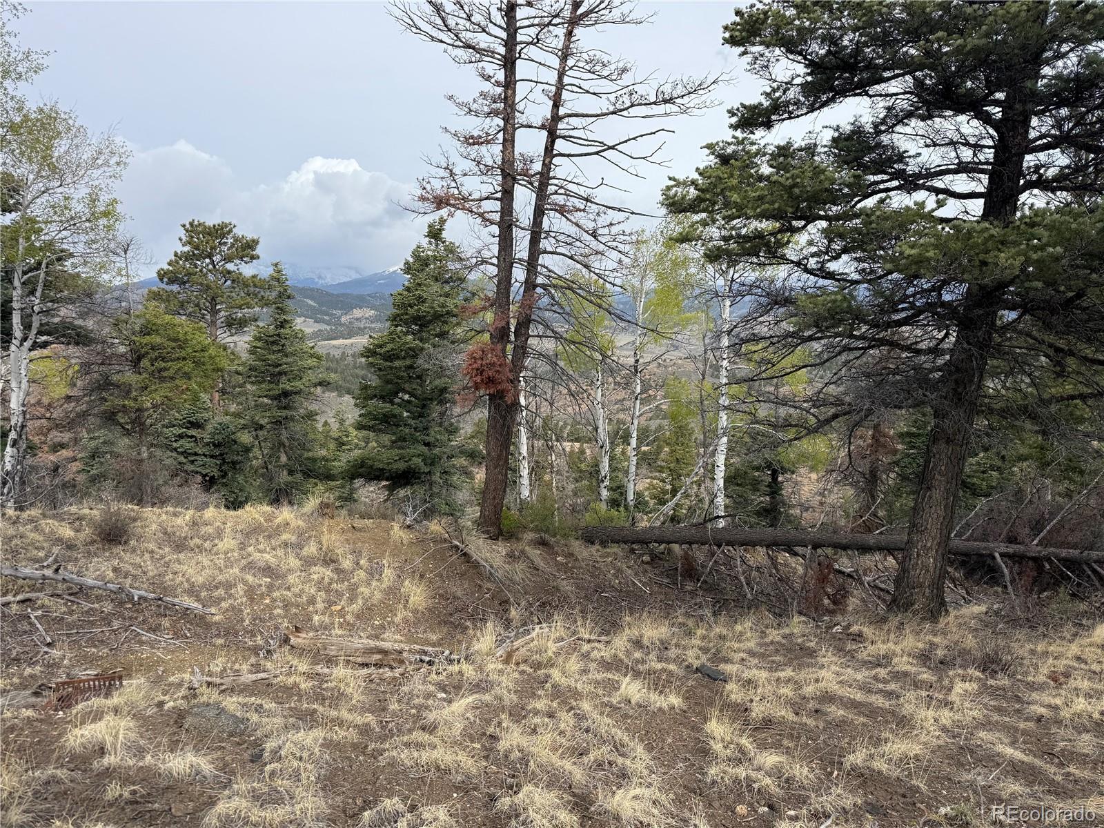 Lot 154 Tahmoush Lane Fort Garland CO 81133