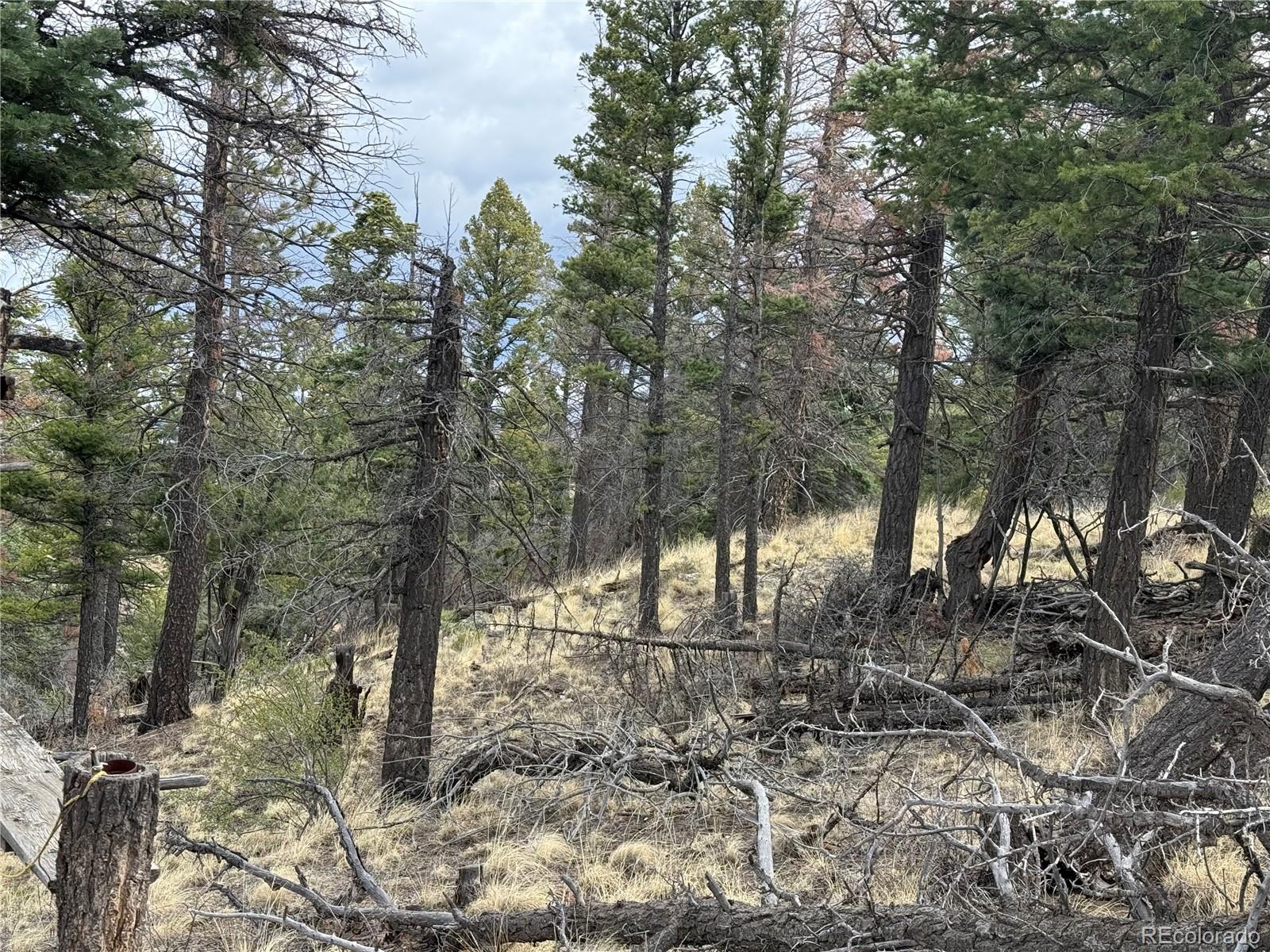 Lot 154 Tahmoush Lane Fort Garland CO 81133