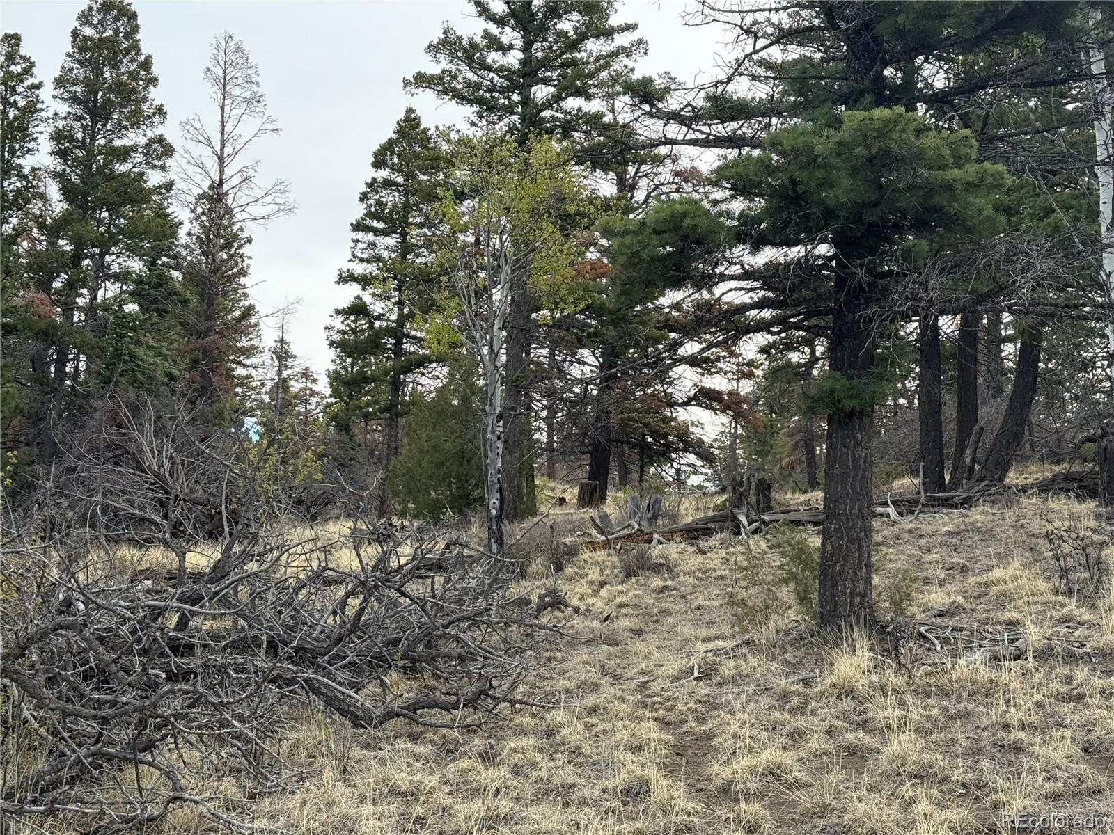Lot 154 Tahmoush Lane Fort Garland CO 81133