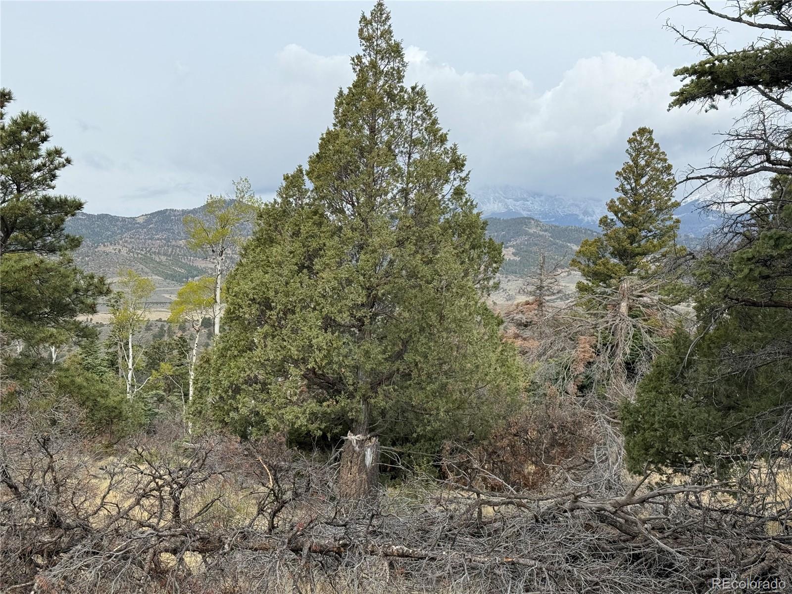 Lot 154 Tahmoush Lane Fort Garland CO 81133