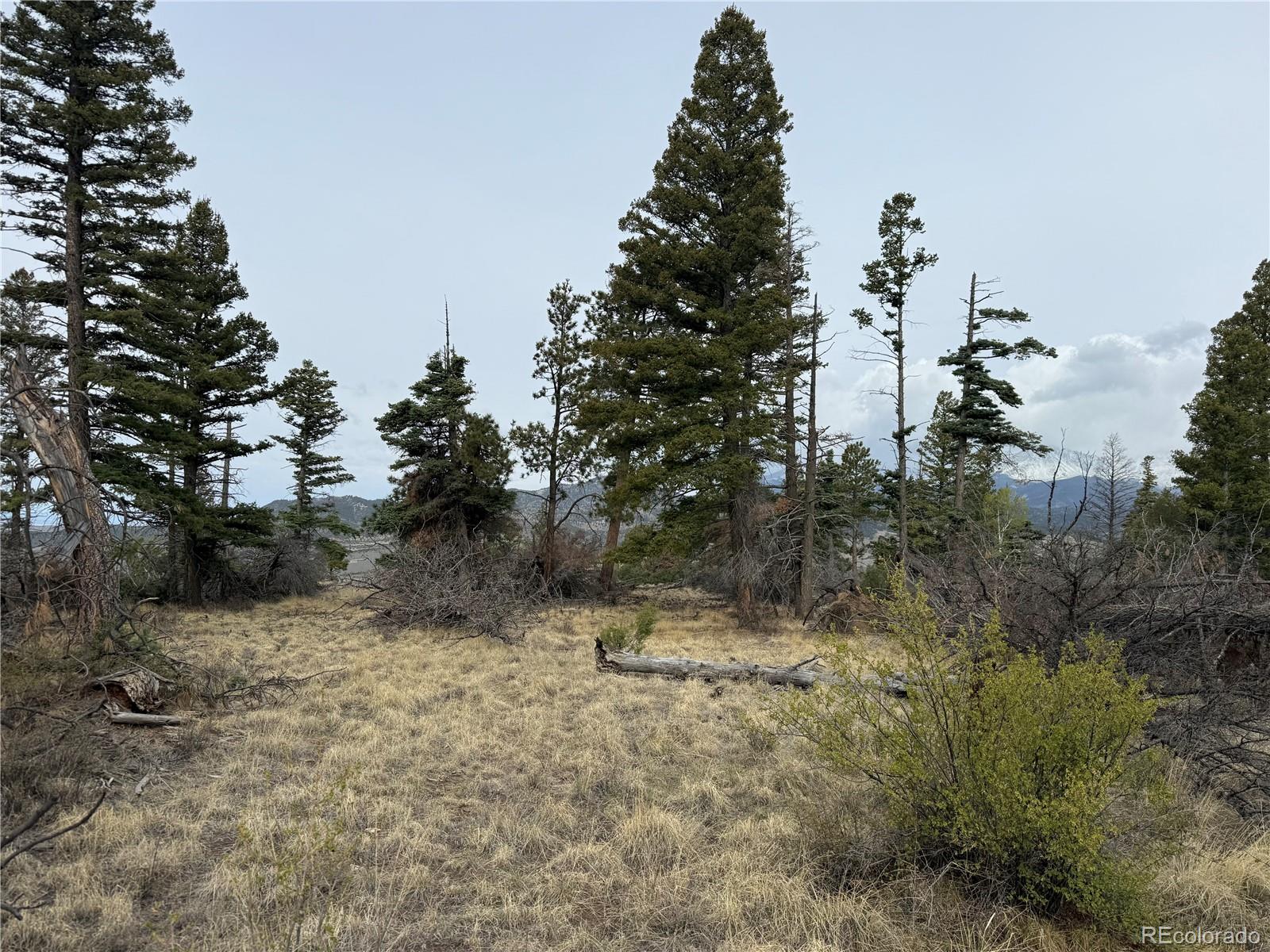 Lot 154 Tahmoush Lane Fort Garland CO 81133