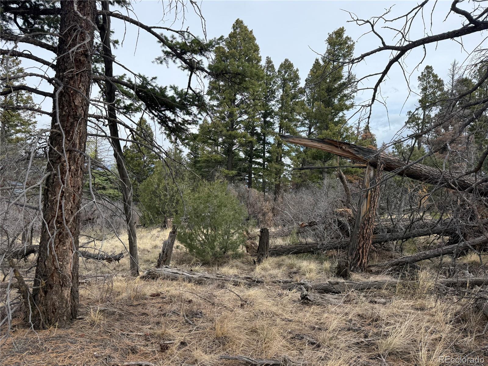 Lot 154 Tahmoush Lane Fort Garland CO 81133