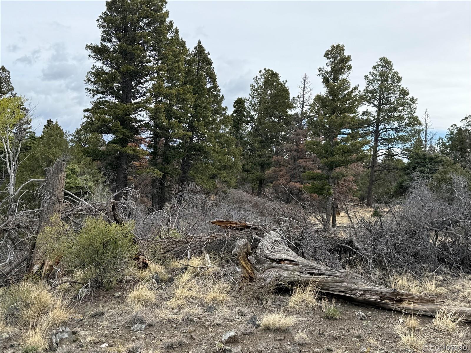 Lot 154 Tahmoush Lane Fort Garland CO 81133