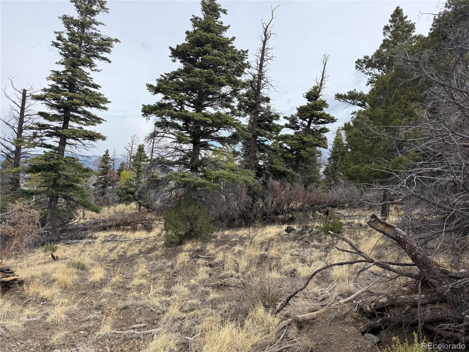 Lot 154 Tahmoush Lane Fort Garland CO 81133