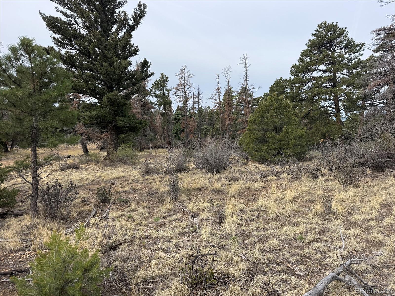Lot 154 Tahmoush Lane Fort Garland CO 81133