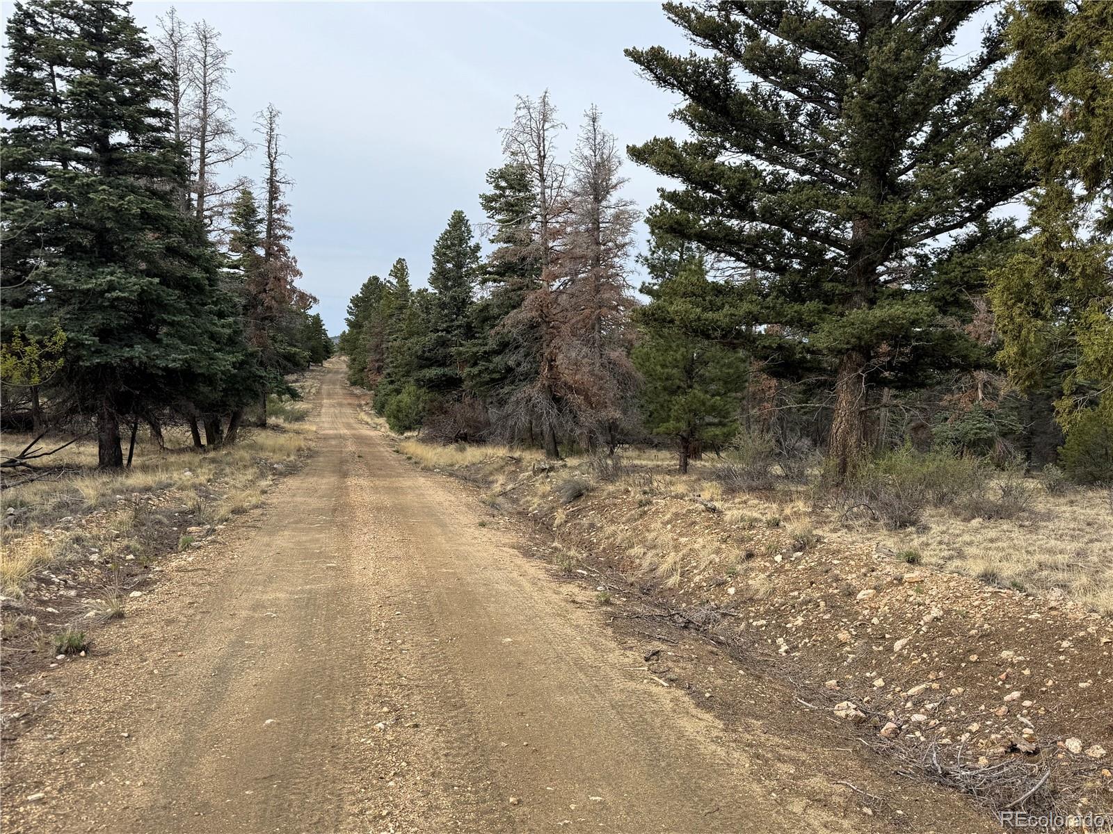 Lot 154 Tahmoush Lane Fort Garland CO 81133