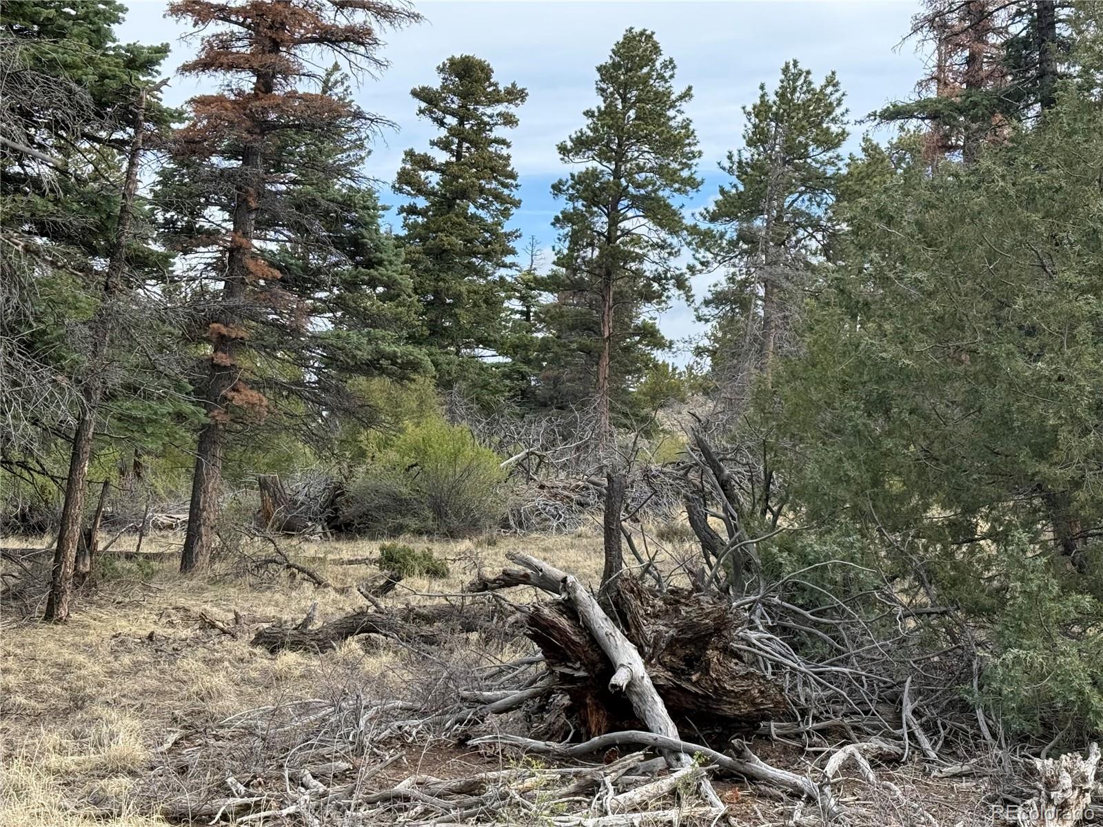 Lot 154 Tahmoush Lane Fort Garland CO 81133
