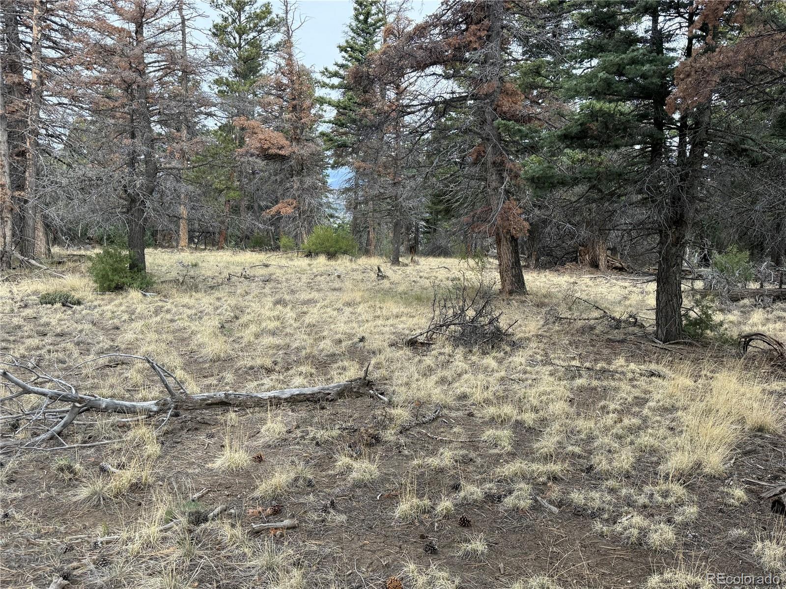 Lot 154 Tahmoush Lane Fort Garland CO 81133