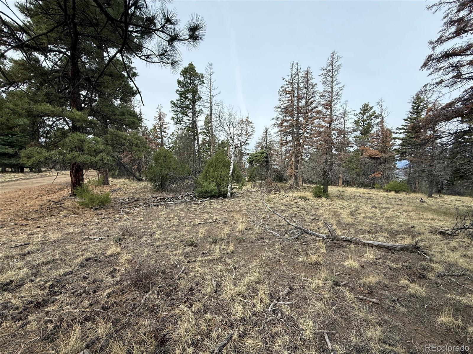 Lot 154 Tahmoush Lane Fort Garland CO 81133