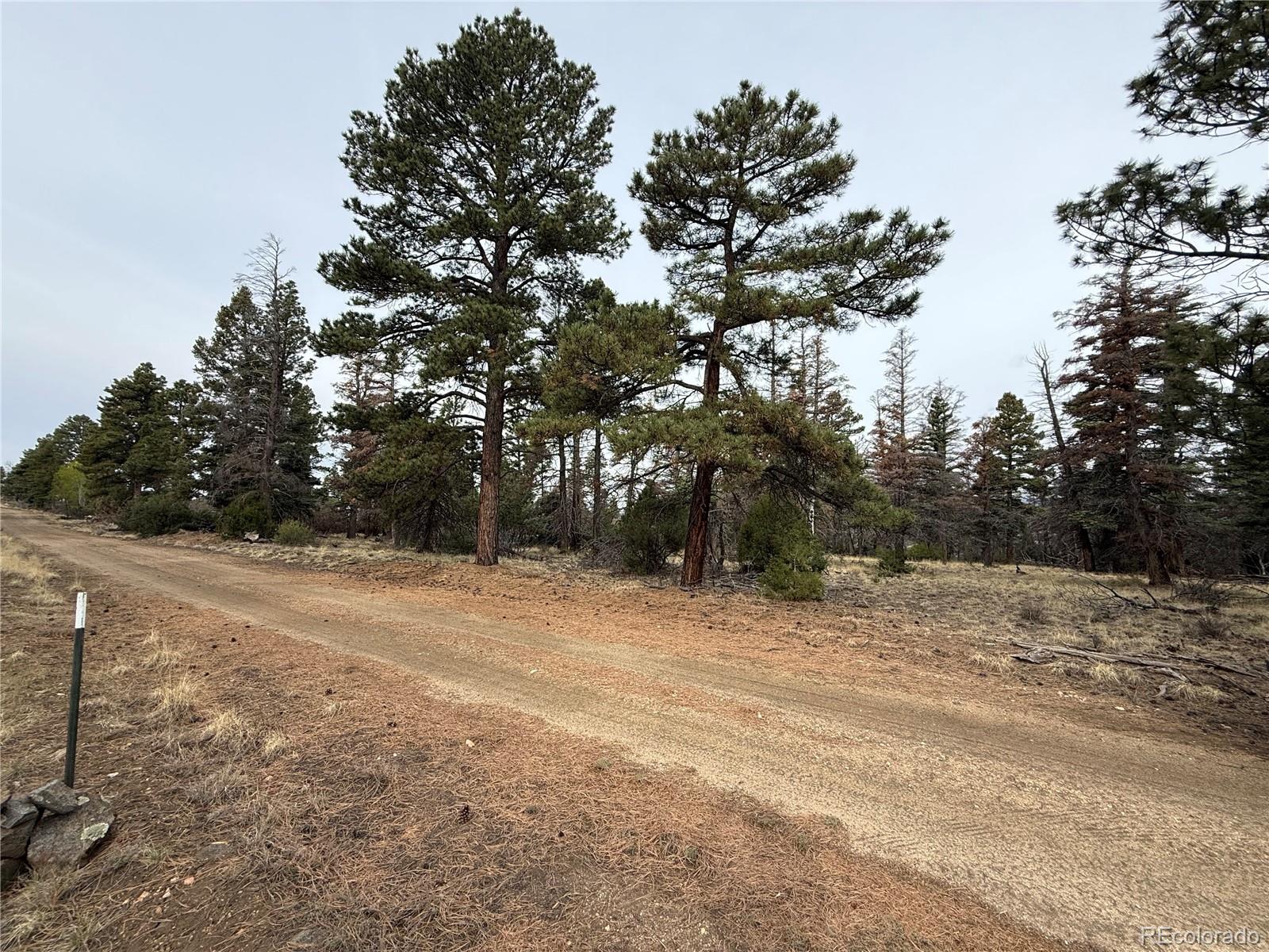 Lot 154 Tahmoush Lane Fort Garland CO 81133