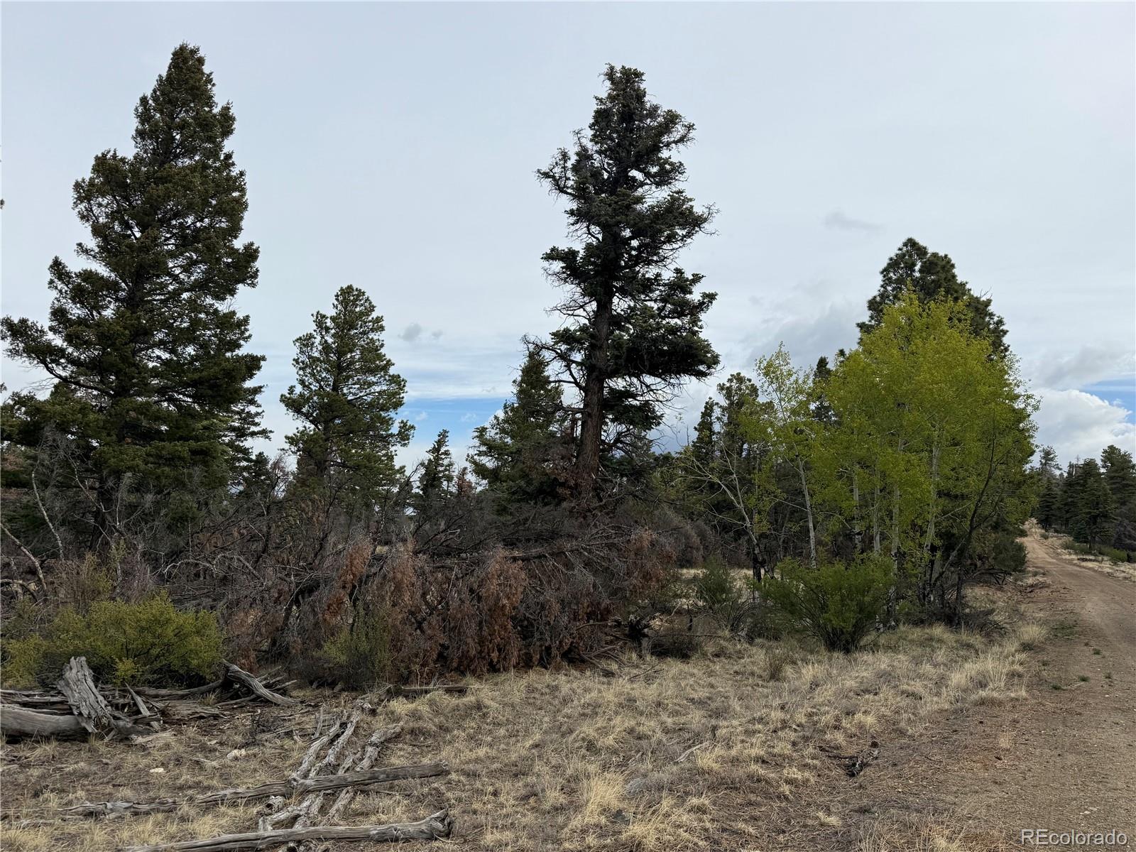Lot 154 Tahmoush Lane Fort Garland CO 81133
