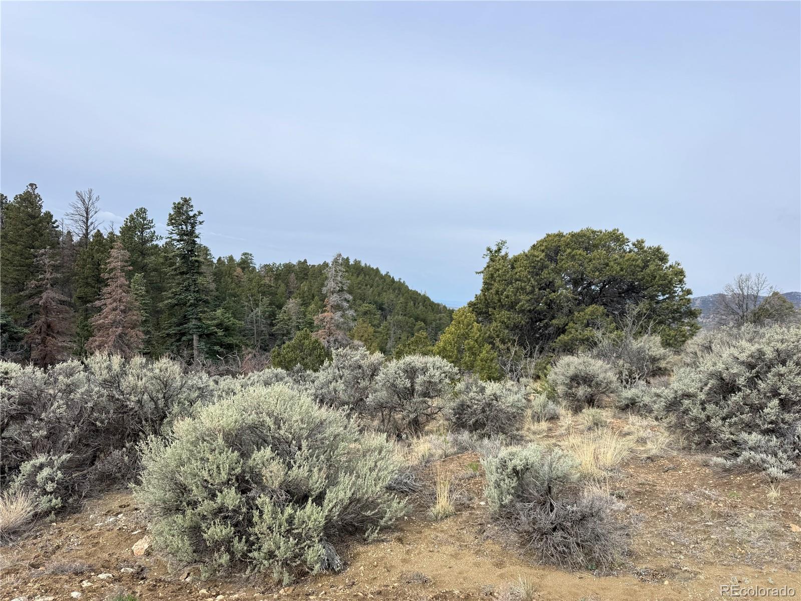 Lot 154 Tahmoush Lane Fort Garland CO 81133