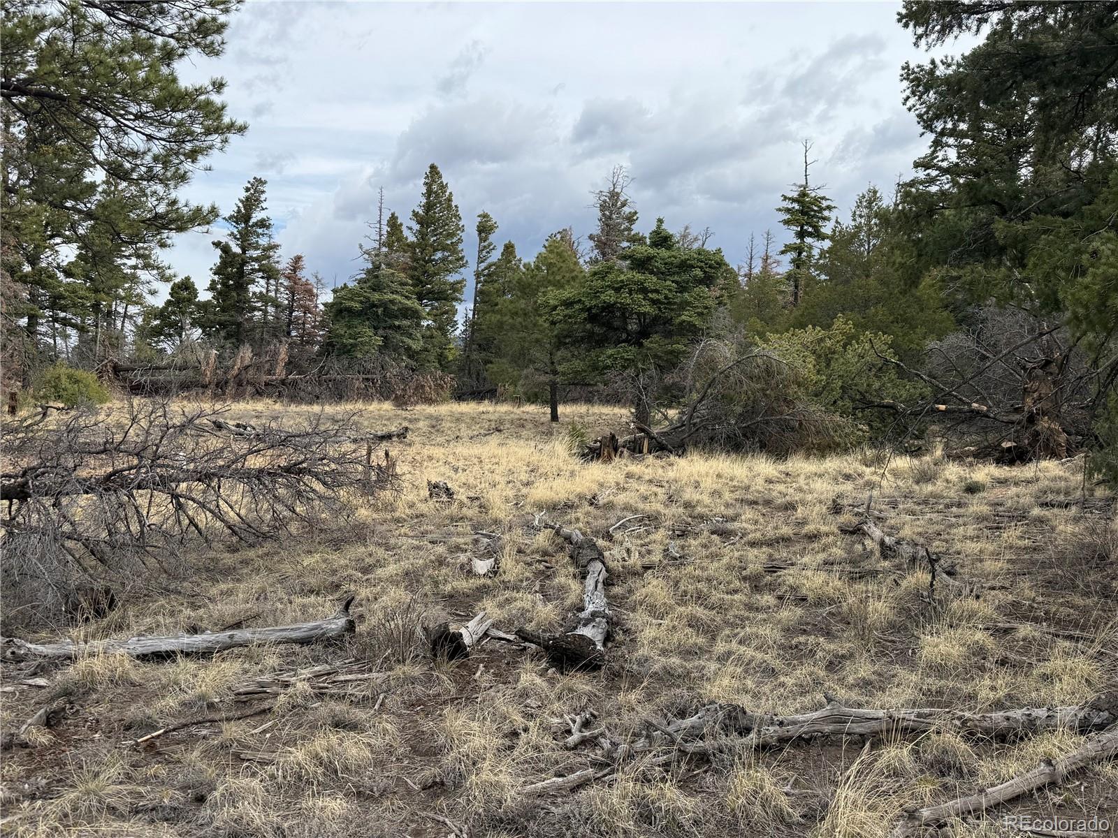 Lot 154 Tahmoush Lane Fort Garland CO 81133