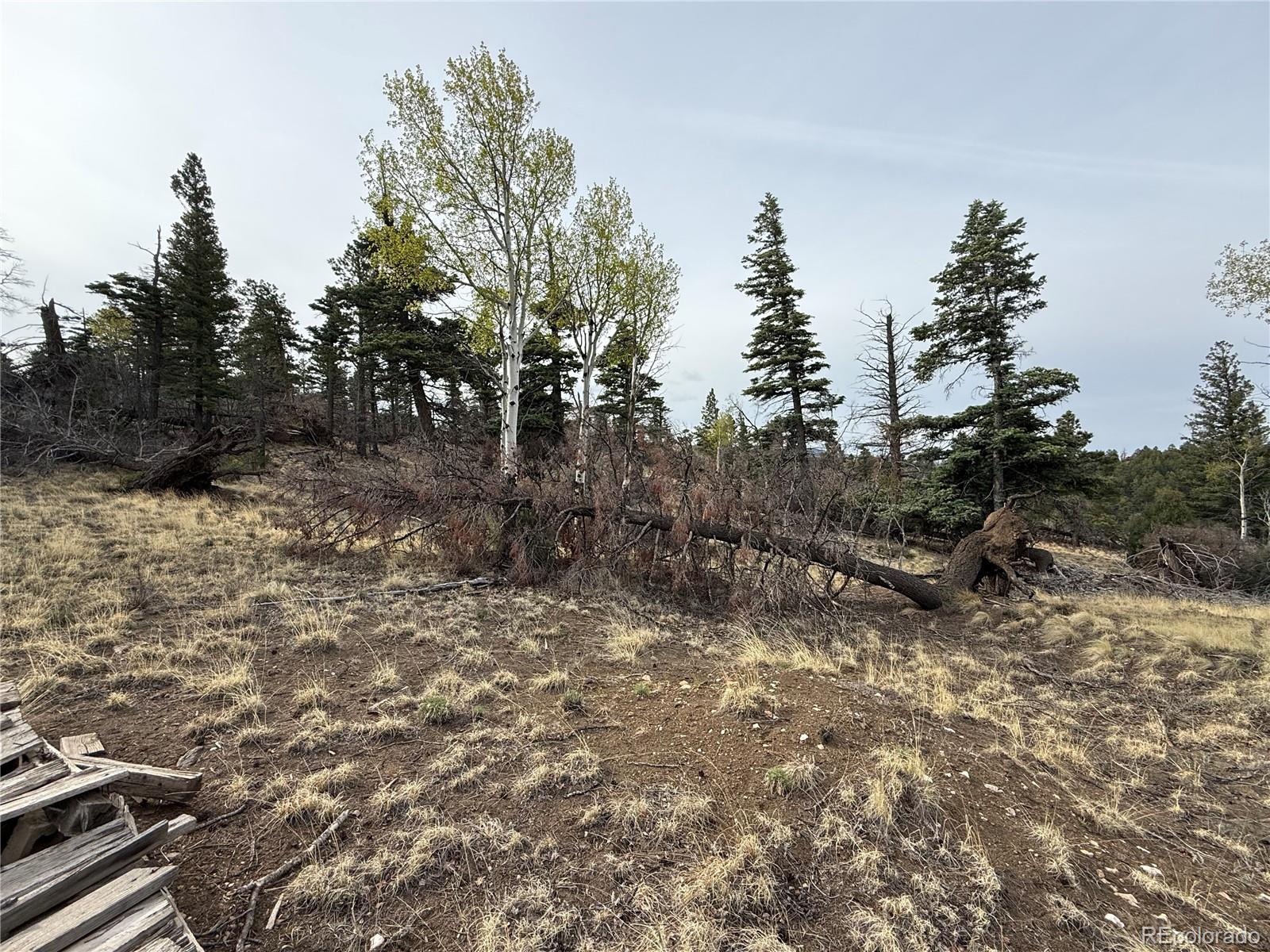 Lot 154 Tahmoush Lane Fort Garland CO 81133