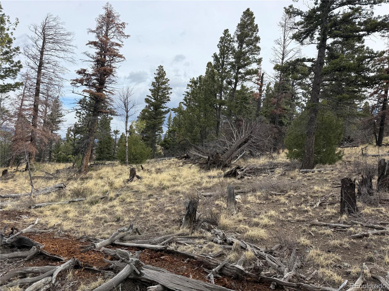 Lot 154 Tahmoush Lane Fort Garland CO 81133