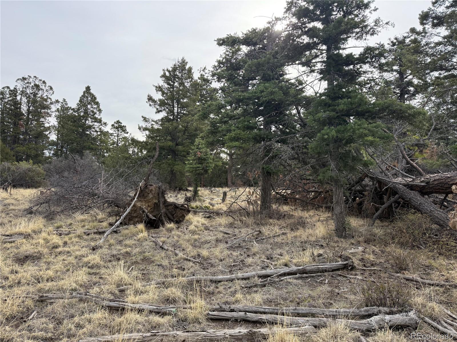 Lot 154 Tahmoush Lane Fort Garland CO 81133