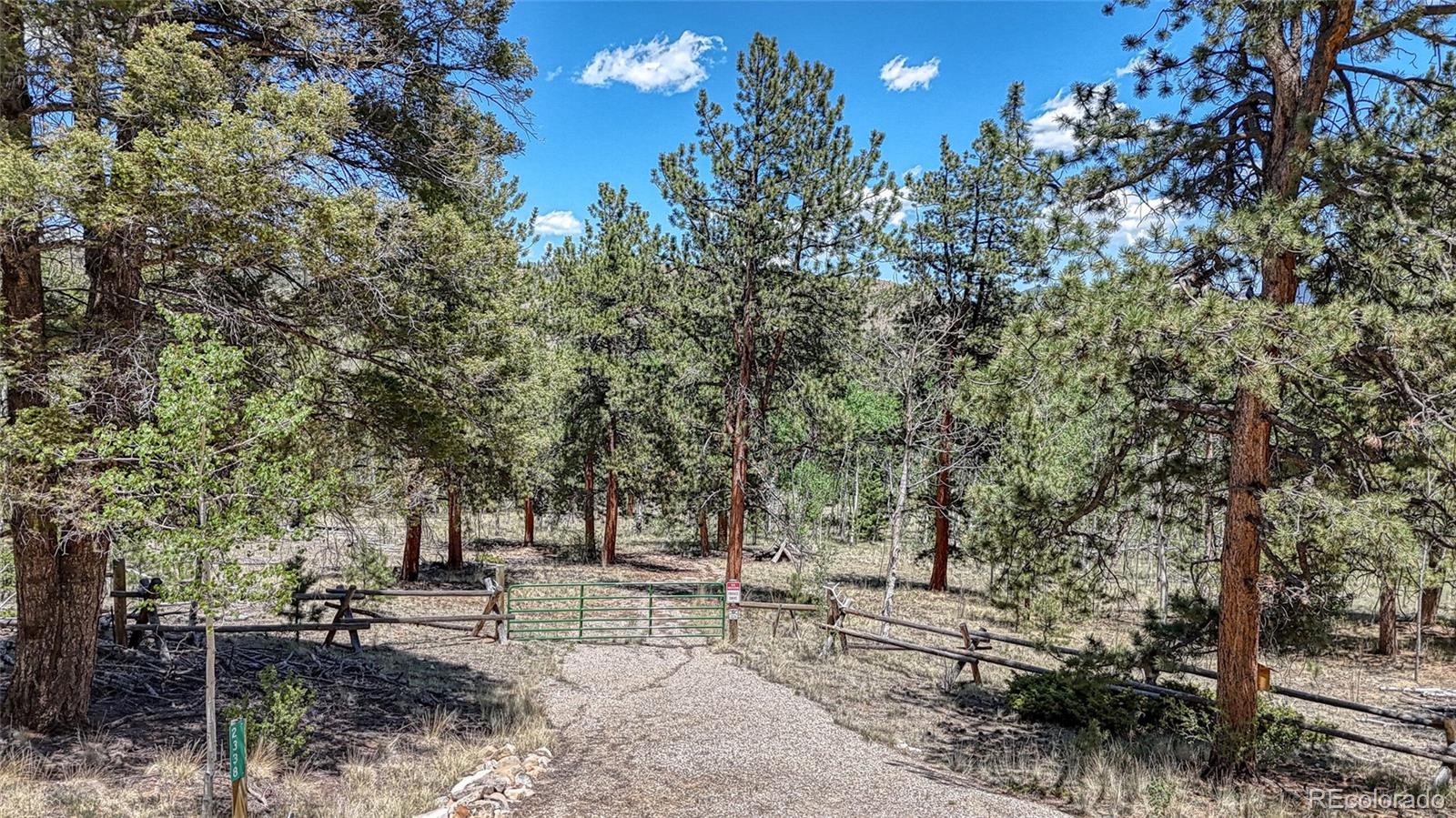 2338 Fitzsimmons Road Hartsel CO 80449