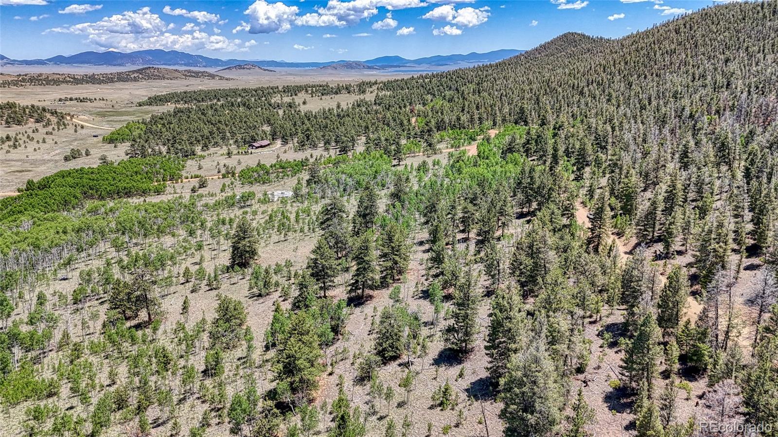 2338 Fitzsimmons Road Hartsel CO 80449