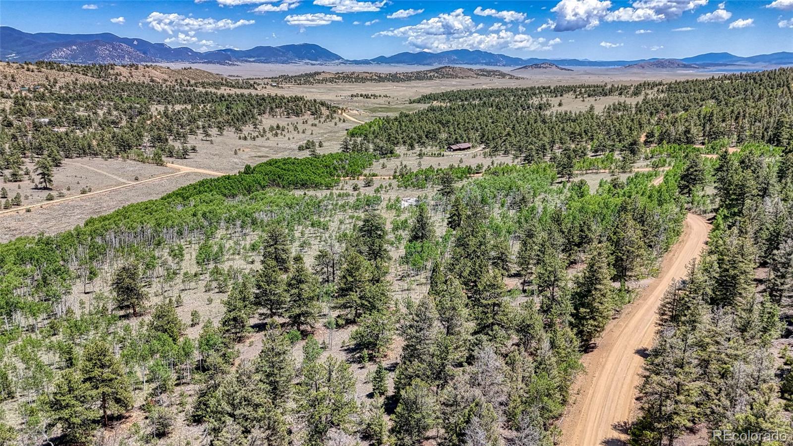 2338 Fitzsimmons Road Hartsel CO 80449