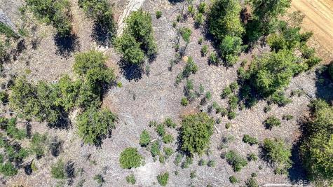 2338 Fitzsimmons Road Hartsel CO 80449