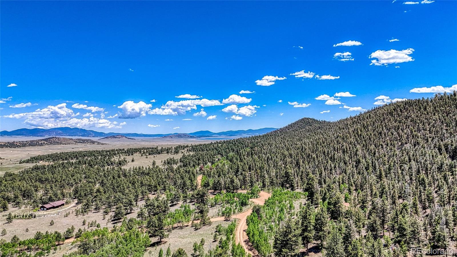 2338 Fitzsimmons Road Hartsel CO 80449