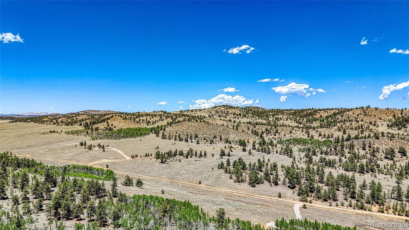 2338 Fitzsimmons Road Hartsel CO 80449