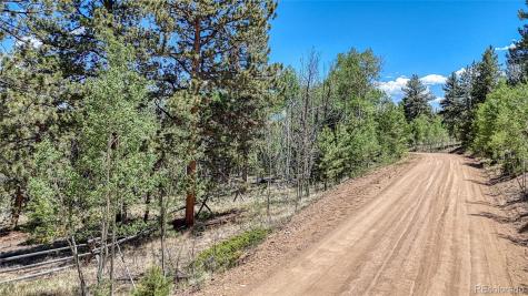 2338 Fitzsimmons Road Hartsel CO 80449