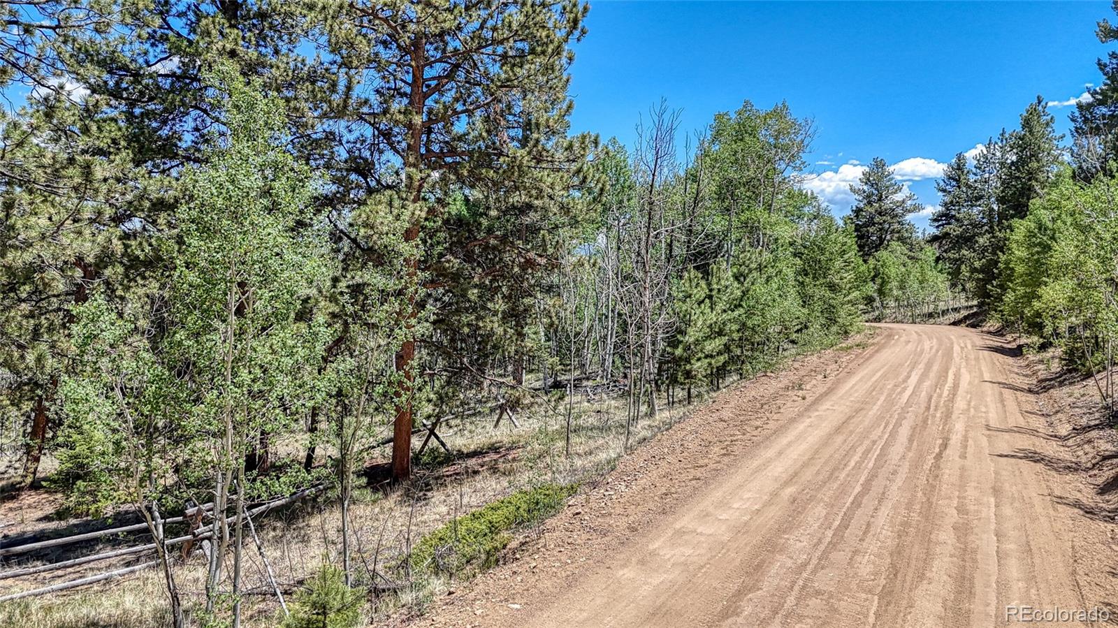 2338 Fitzsimmons Road Hartsel CO 80449