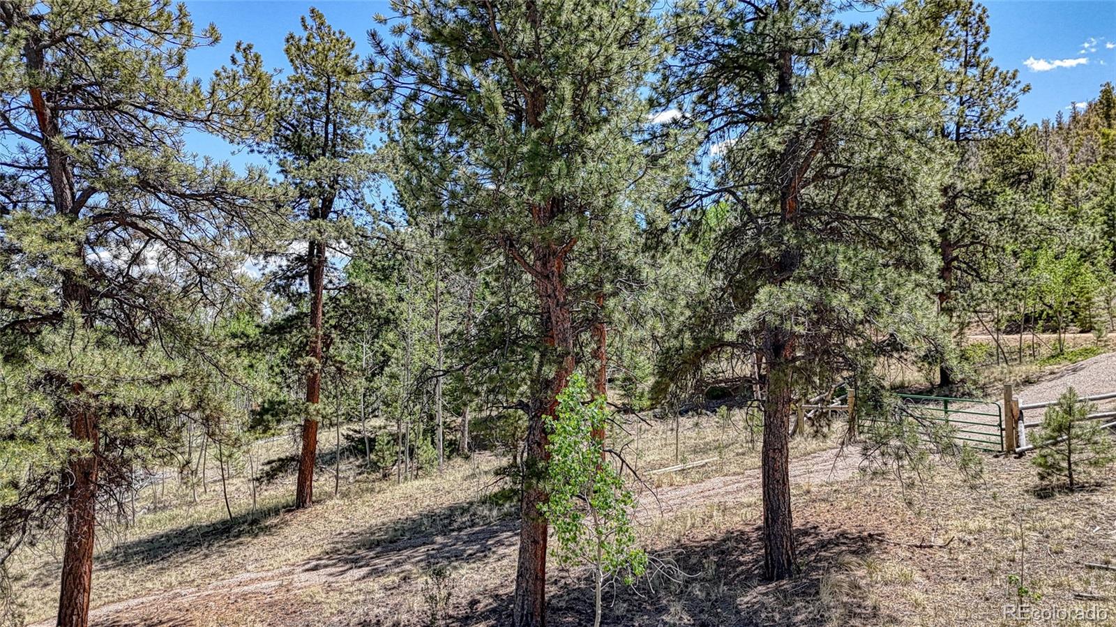 2338 Fitzsimmons Road Hartsel CO 80449
