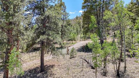 2338 Fitzsimmons Road Hartsel CO 80449
