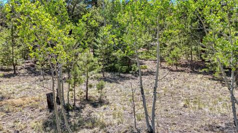 2338 Fitzsimmons Road Hartsel CO 80449
