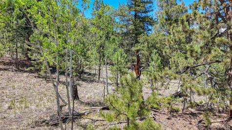 2338 Fitzsimmons Road Hartsel CO 80449