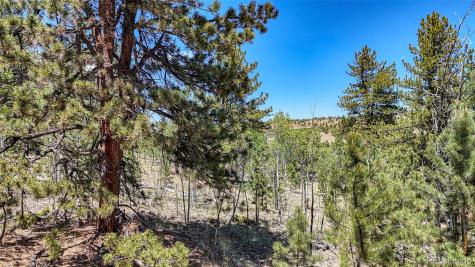 2338 Fitzsimmons Road Hartsel CO 80449