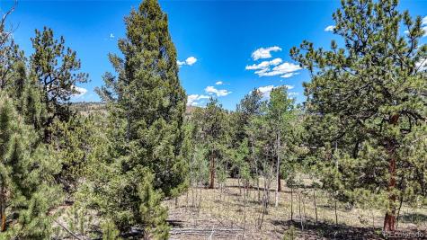 2338 Fitzsimmons Road Hartsel CO 80449
