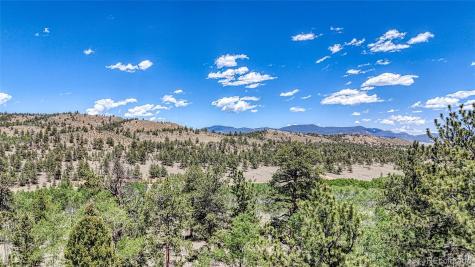 2338 Fitzsimmons Road Hartsel CO 80449