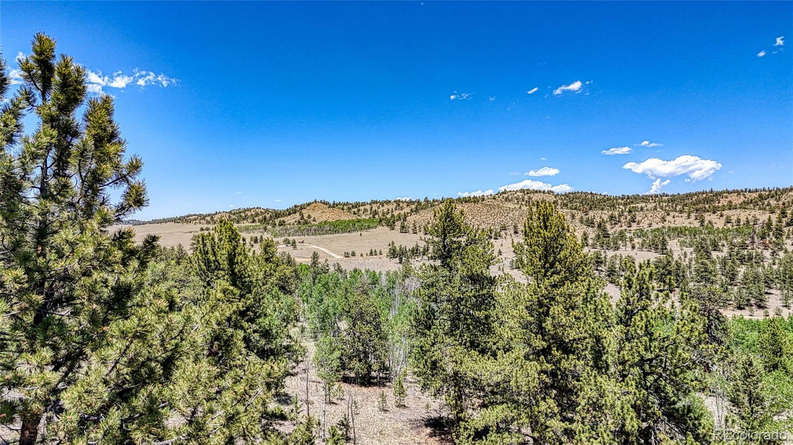 2338 Fitzsimmons Road Hartsel CO 80449