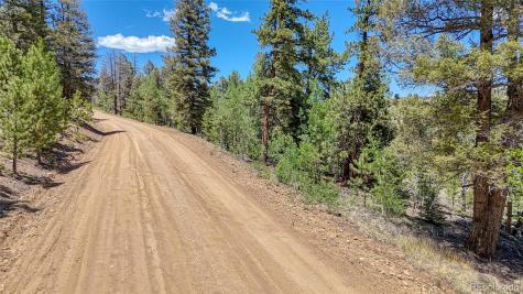 2338 Fitzsimmons Road Hartsel CO 80449