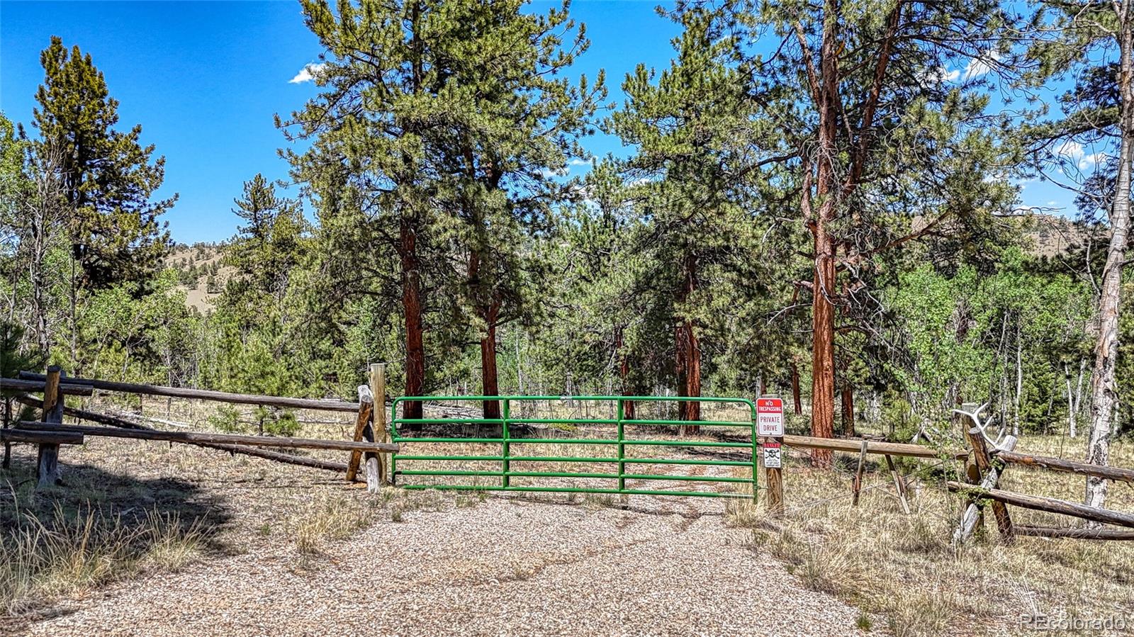 2338 Fitzsimmons Road Hartsel CO 80449