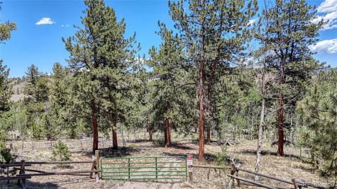 2338 Fitzsimmons Road Hartsel CO 80449