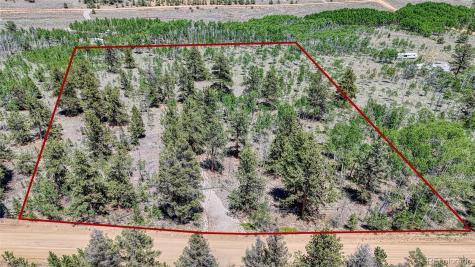 2338 Fitzsimmons Road Hartsel CO 80449