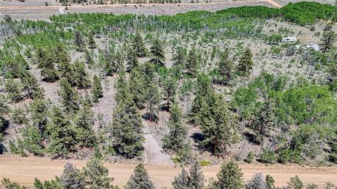 2338 Fitzsimmons Road Hartsel CO 80449